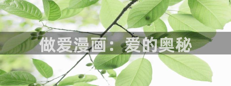 汗汗漫画网页