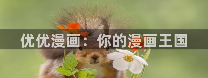 汗汗漫画首页入口