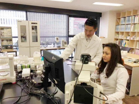 其核心驱动力主要来自“早C晚A”等成分概念的市场表现