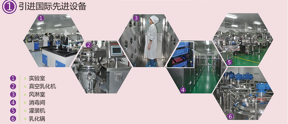 2025年12月数字人厂商综合实力榜单发布