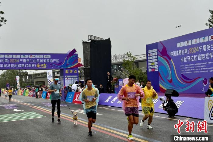 中国含“酒”量最高半马开跑：6000余名跑友畅跑